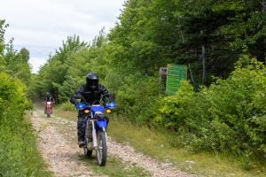 Working our way into the Highland Road system via the Oregon Road. No, we did not die of dysentery. Photo: Adam Hill/DCBA